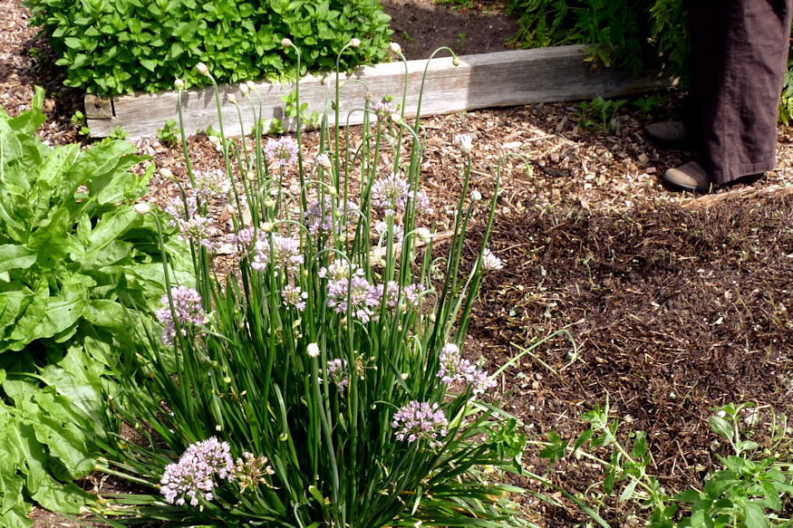 foldcsere nelkul frissitheto 05