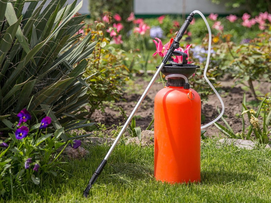 gyors kerteszeti trukkoket 02