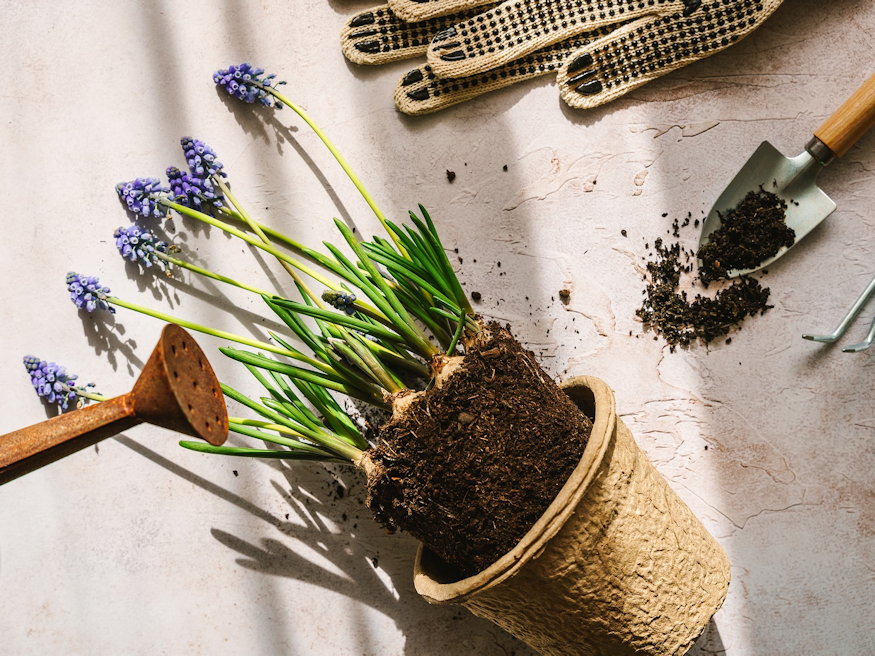 gyors kerteszeti trukkoket 06