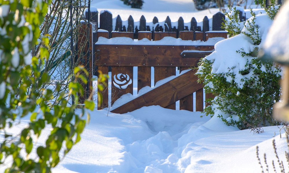 A hó mint természetes fertőtlenítő – igaz vagy tévhit?