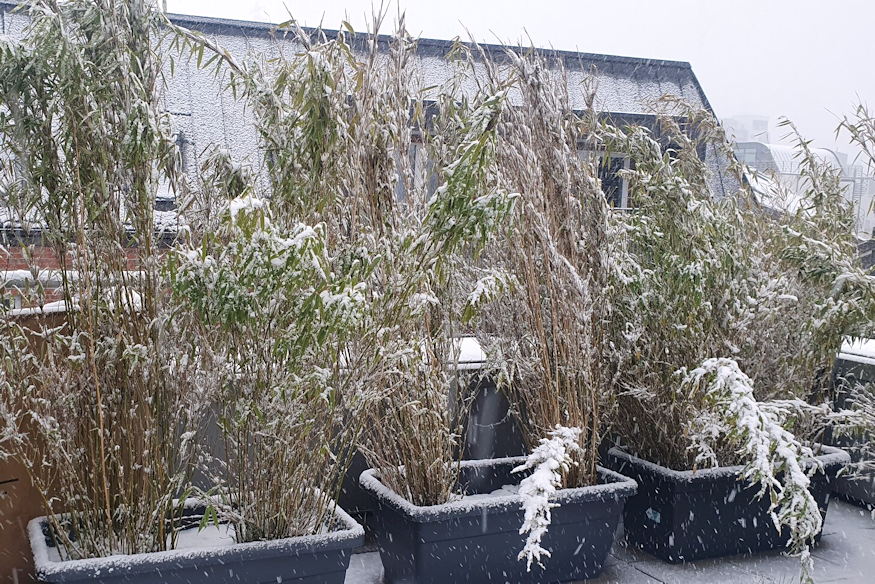 ho termeszetes fertotlenito 02