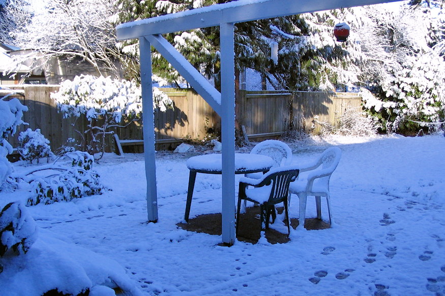 ho termeszetes fertotlenito 03