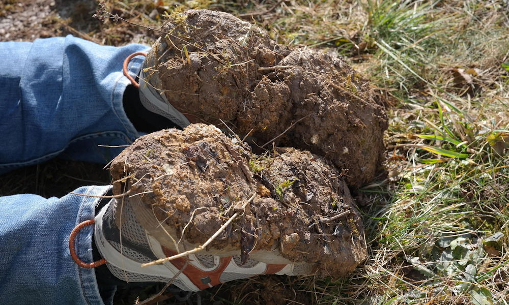 Miért válik a kertész cipője légtalpassá – és mit árul el a kerted talajáról?