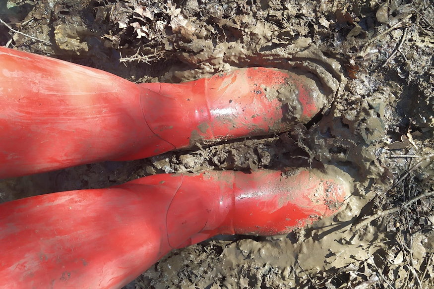 kertesz cipoje legtalpassa 03