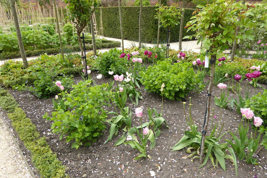 kertesz tul sokat dolgozik 02