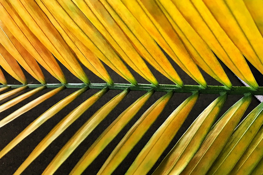 kerti jelenseg felreert 03