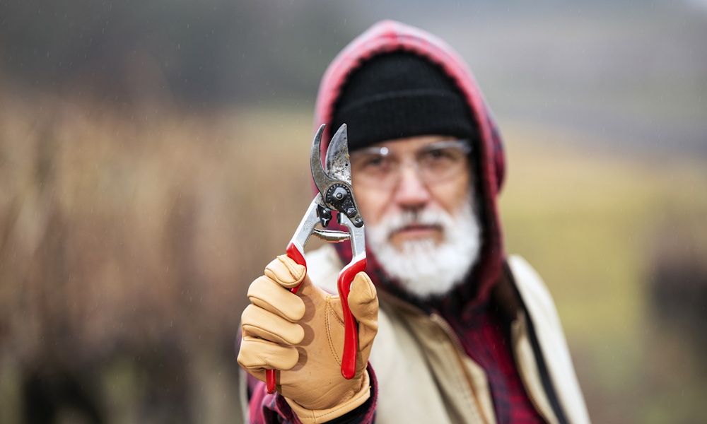 Kerti szerszámok, amelyek télen eltűnnek – és tavasszal váratlan helyeken bukkannak elő