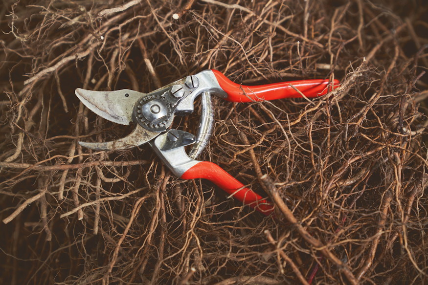 kerti szerszamok telen eltunnek 04