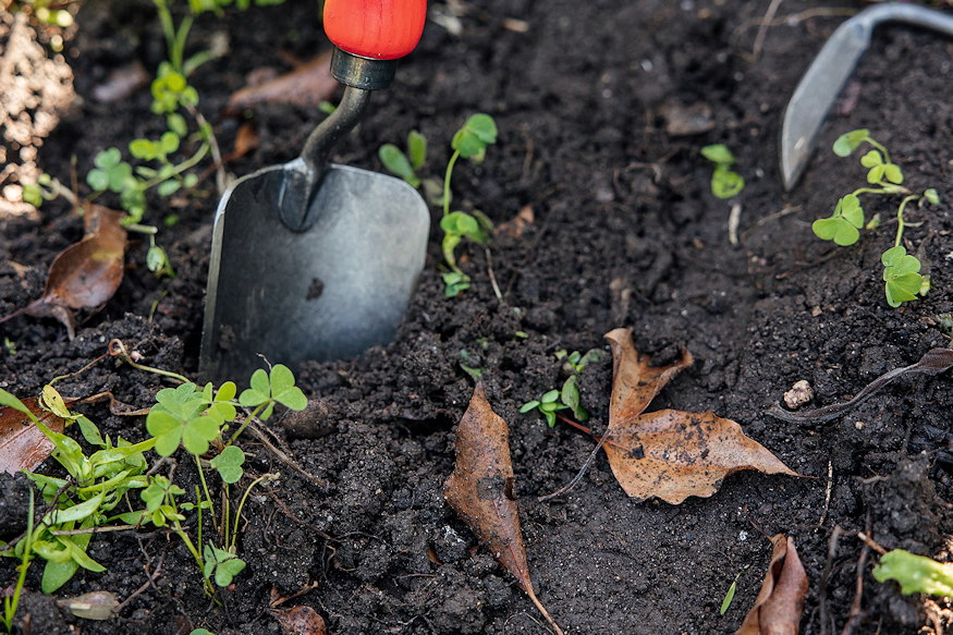 kerti szerszamok telen eltunnek 05
