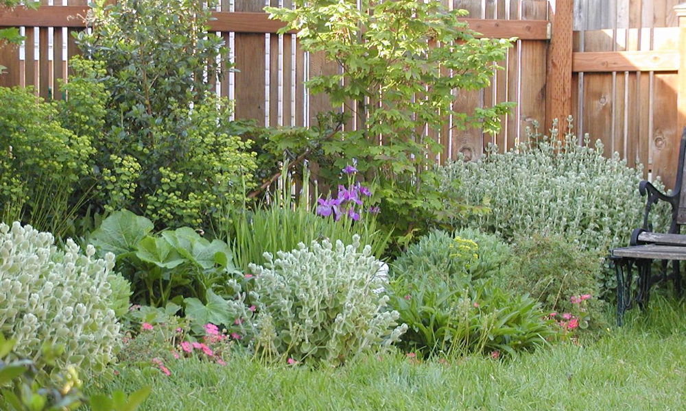 A kerttervezés láthatatlan hibái, amik csak évek múlva bosszulják meg magukat