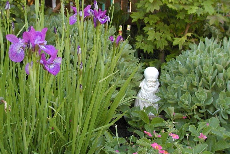 kerttervezes lathatatlan hibai 02