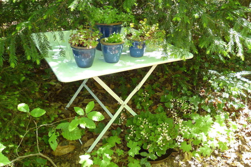 kerttervezes lathatatlan hibai 07