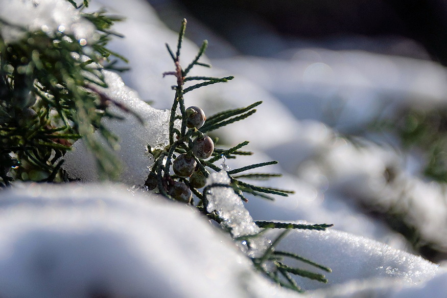 lerazzuk kertben havat vagy 02