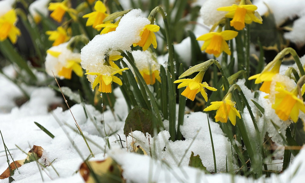 Miért nem érvényes már a március–április szabály?