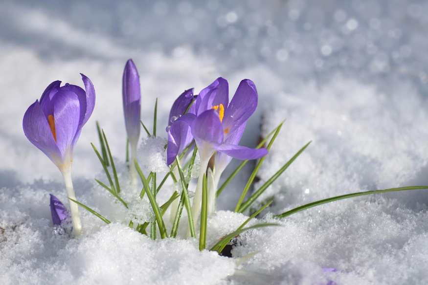 marcius aprilis szabaly 04