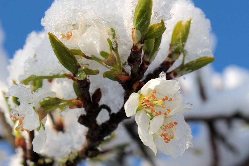 marcius aprilis szabaly 05