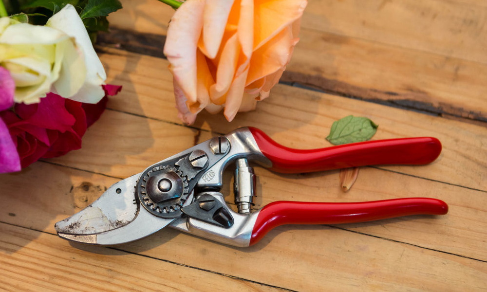 Itt egy profi metszőolló kiskezű kertészeknek, akár kertészkedő gyerekeknek