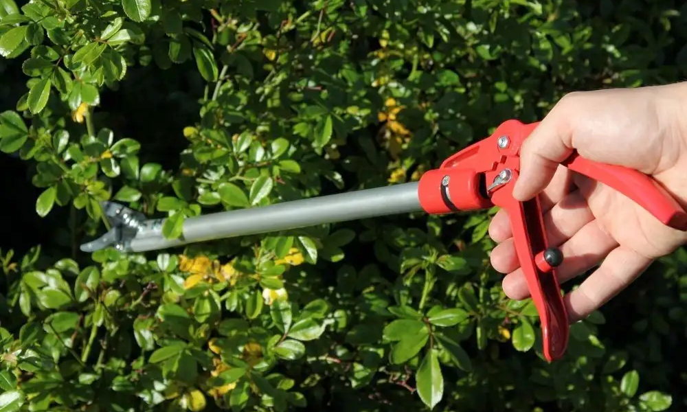 A metszőolló, ami +60 centivel hosszabbítja meg a karod – és eléri mindazt, amit te nem!