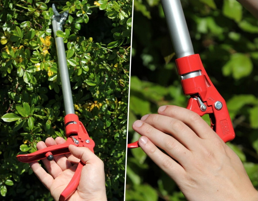 metszoollo eleri mindazt 02