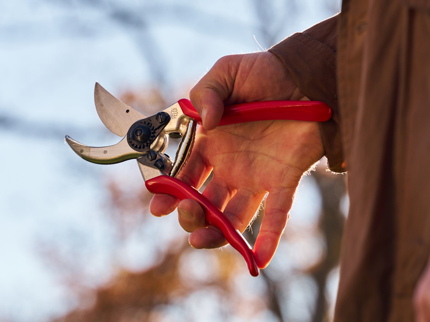 metszoollo nem szeret tetlenkedni 02