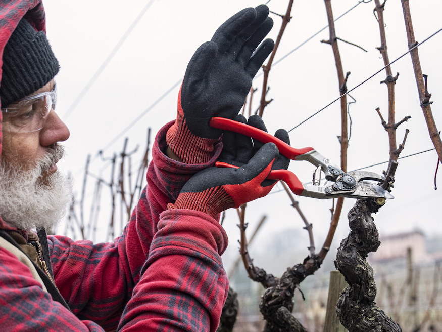 metszoollo nem szeret tetlenkedni 06