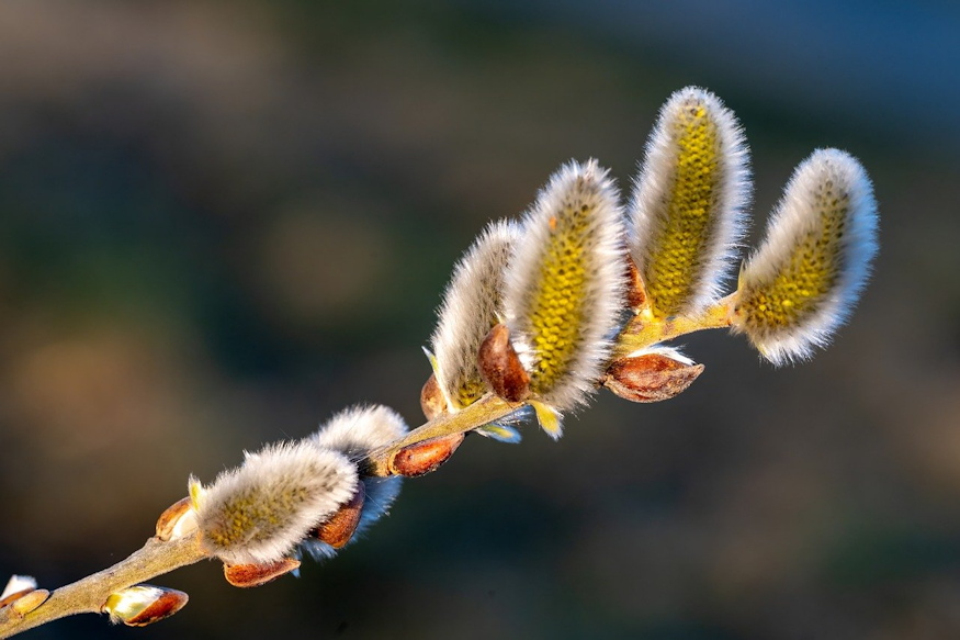 mikor induljon tavasszal 02