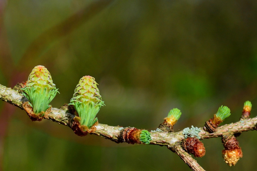 mikor induljon tavasszal 03