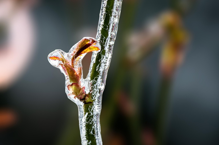 mikor induljon tavasszal 04