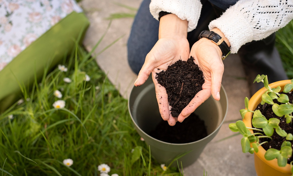 Miért hisszük el minden tavasszal, hogy idén majd másképp csináljuk?