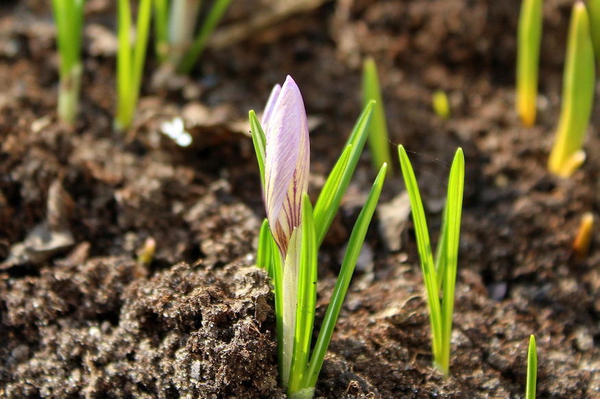 minden tavasszal maskepp 02