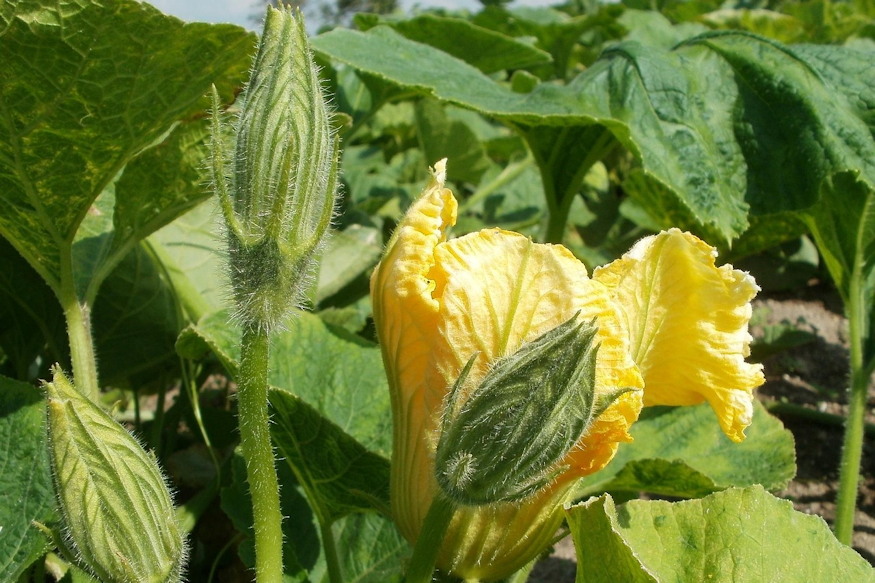 minden tavasszal maskepp 05