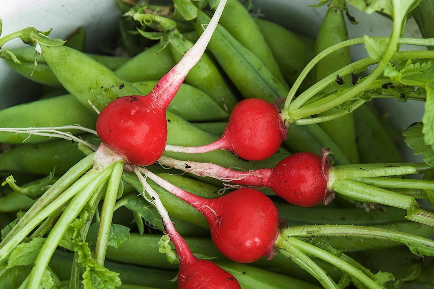 minden tavasszal maskepp 06