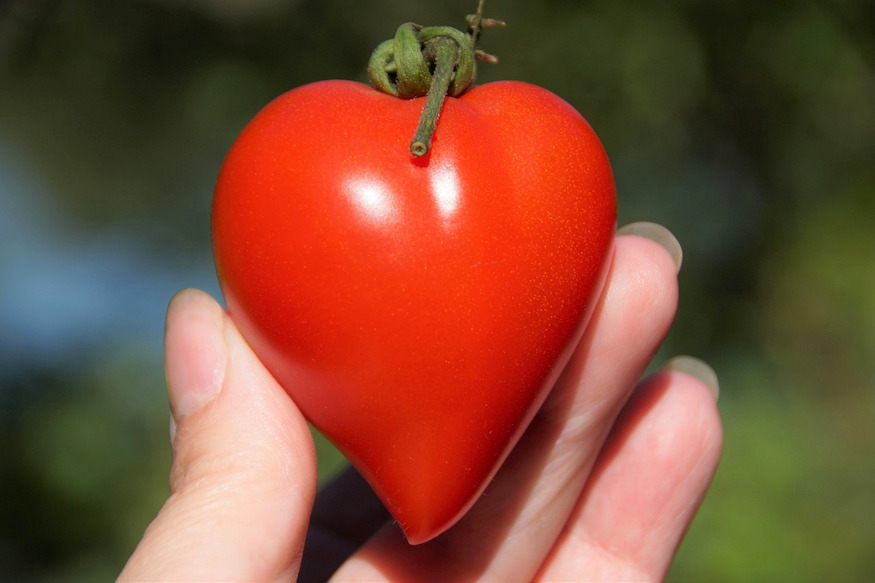minden tavasszal maskepp 07