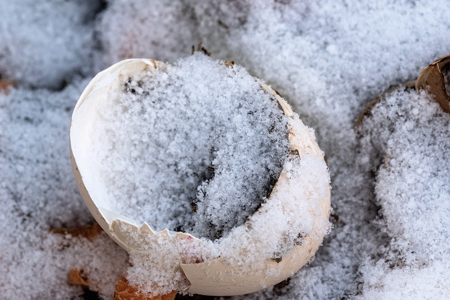 mit csinal komposzt alszik 04