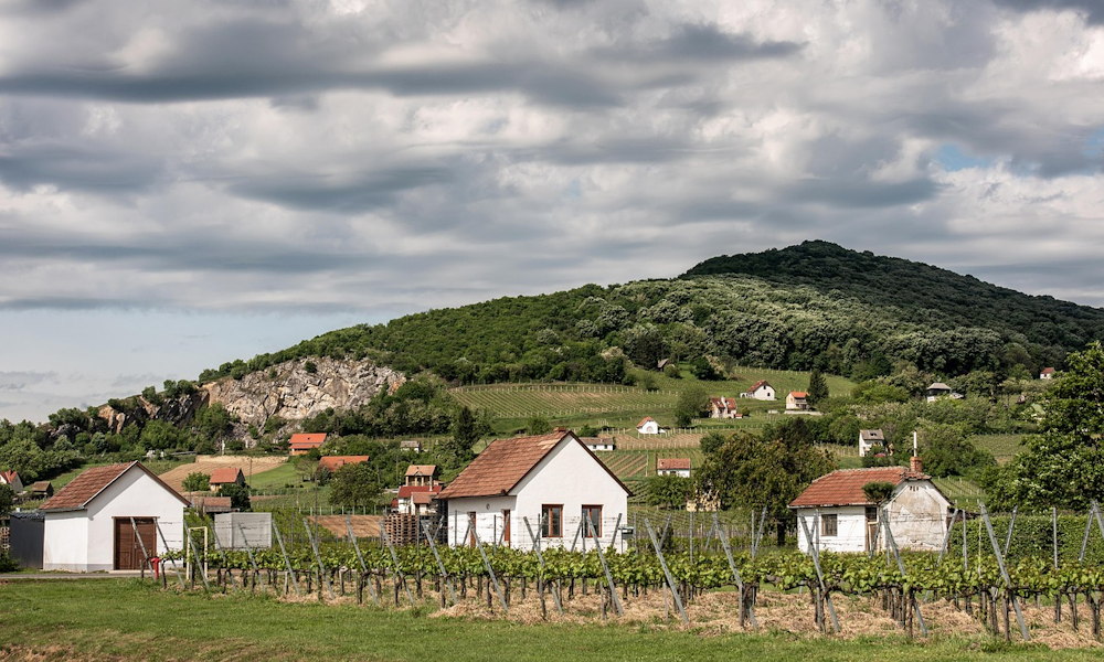 Honnan jönnek a népi időjósló megfigyelések – és mi történik velük a klímaváltozás korában?