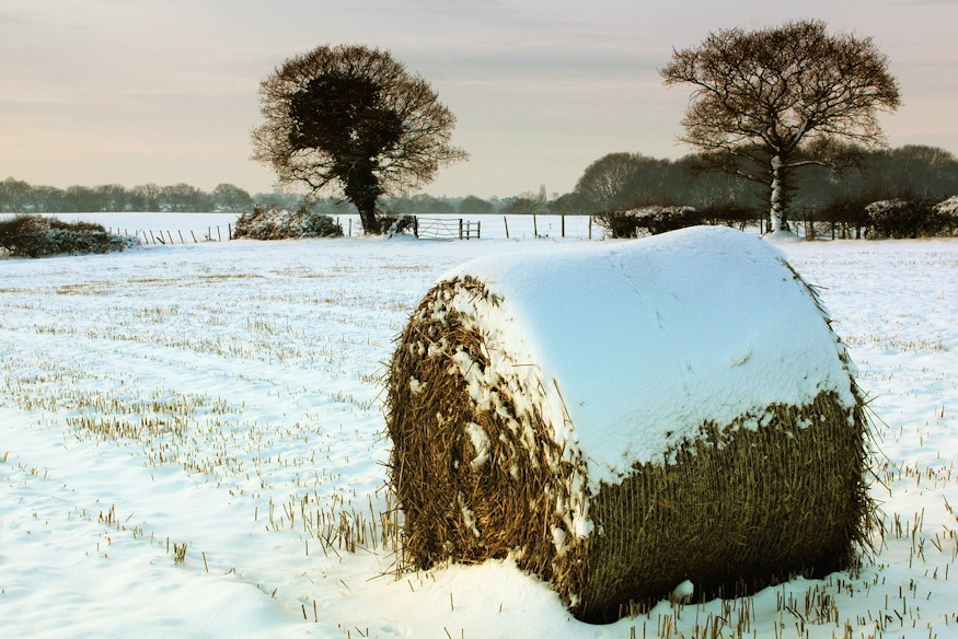 nepi idojoslo megfigyelesek 04