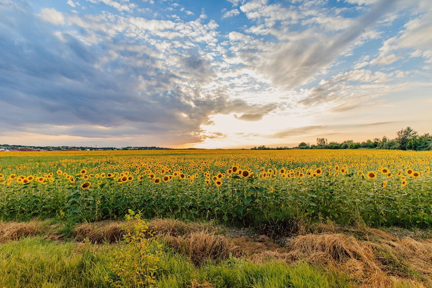 nepi idojoslo megfigyelesek 08