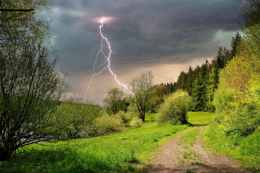 noveny vonzza villamlast 02