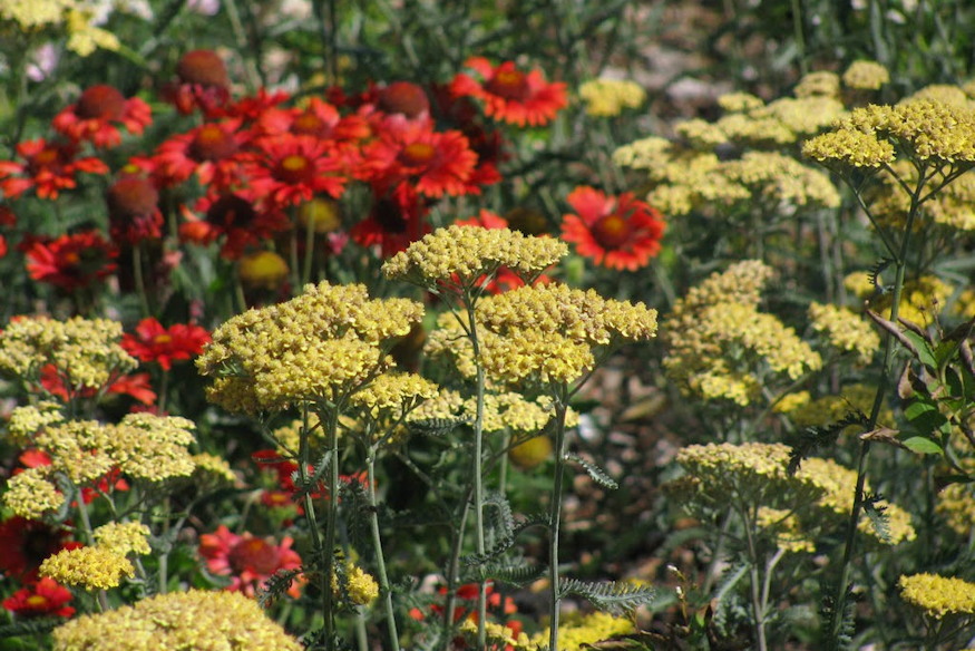 novenyek birjak klimavaltozast 04