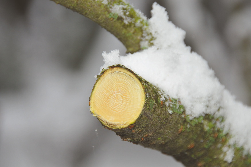 regen mit csinaltak telen 06