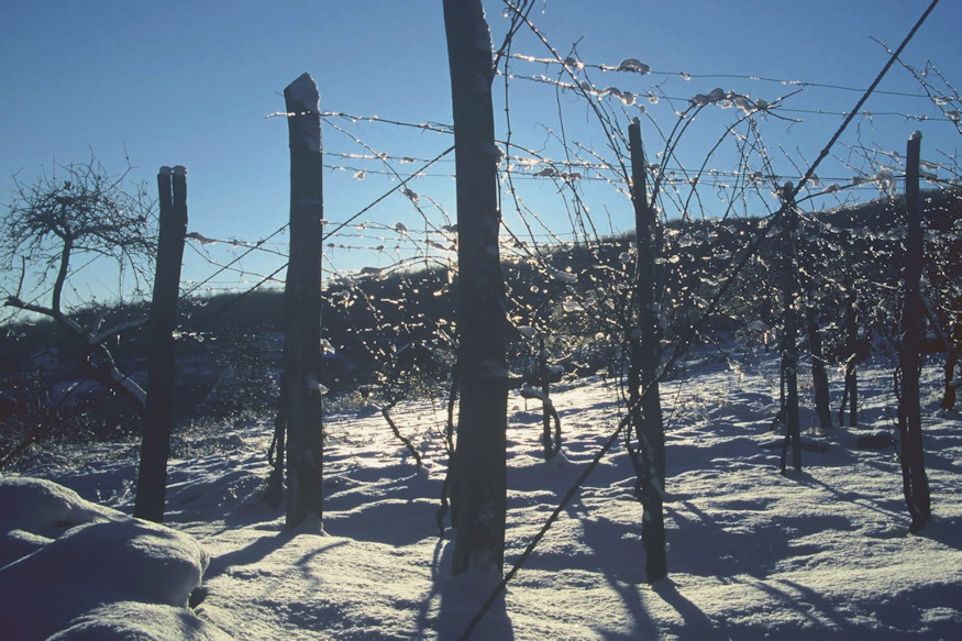 regen mit csinaltak telen 07
