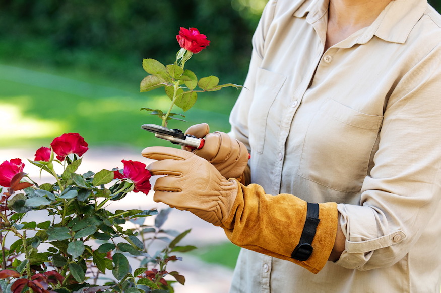 rozsavago kesztyu ha valami visszaszur 04