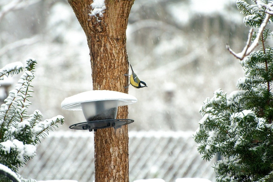 tavaszi indulas havas tel utan 05