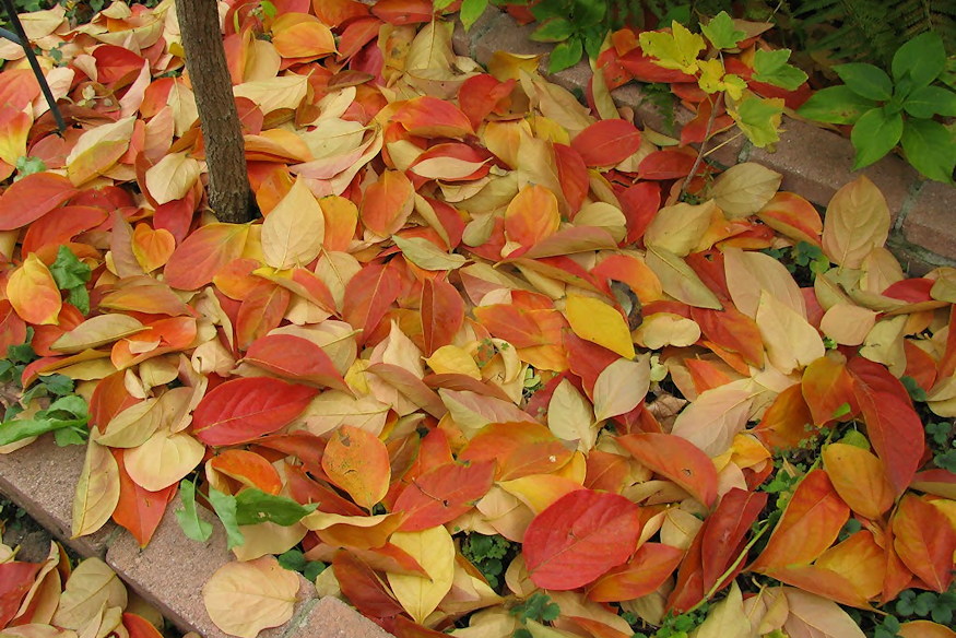 termeszet nem steril 02