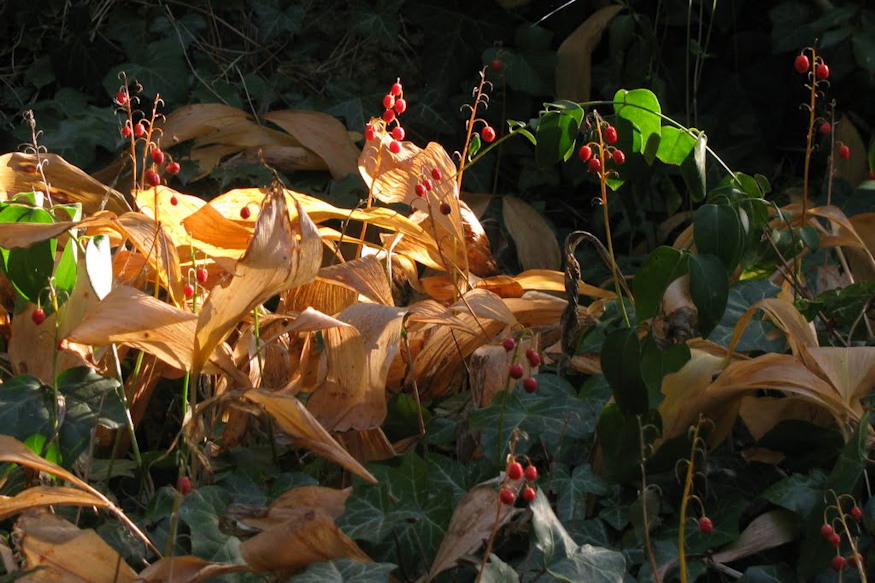 termeszet nem steril 03