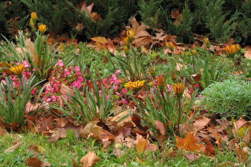 termeszet nem steril 04