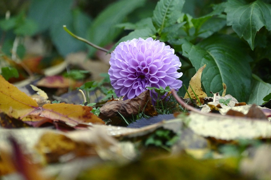 termeszet nem steril 05