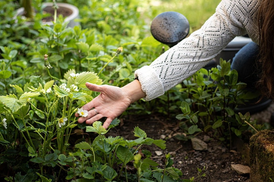 tulzott gondoskodas ara 02