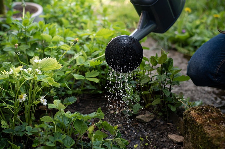 tulzott gondoskodas ara 04