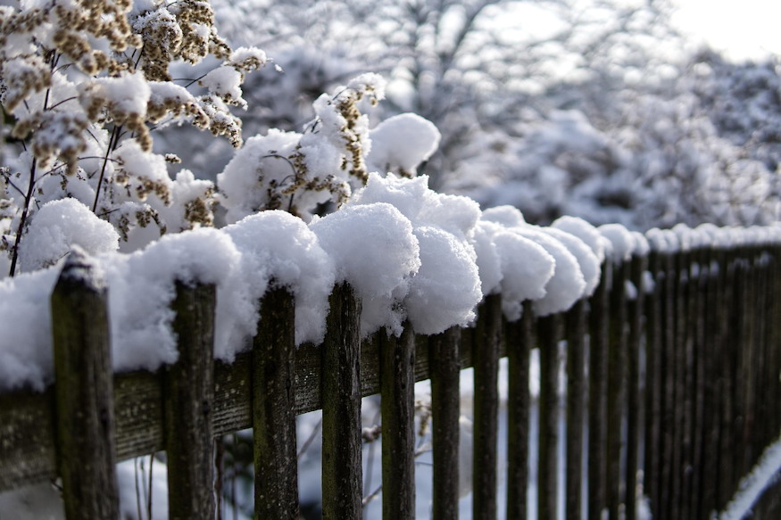 vastag hotakaro kertnek 04